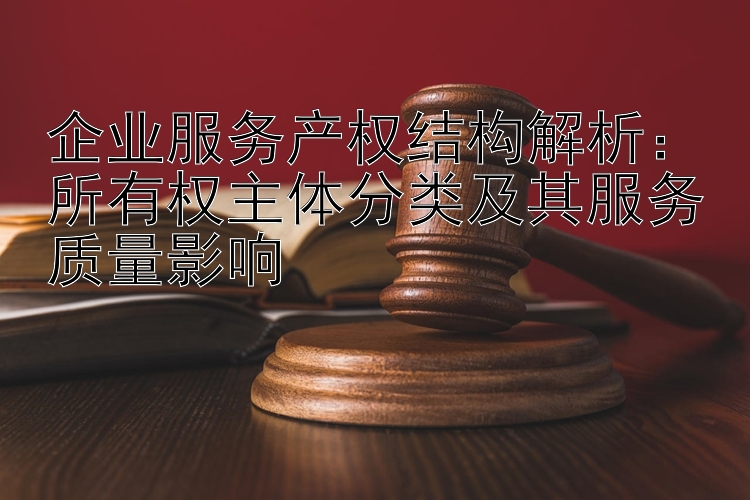 企业服务产权结构解析：所有权主体分类及其服务质量影响