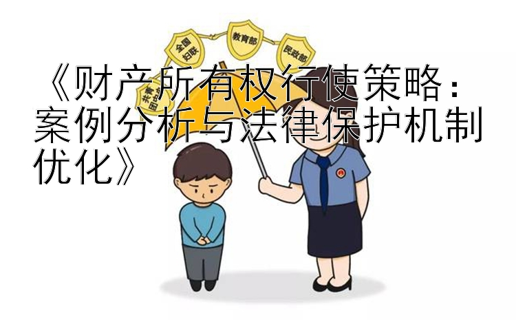 《财产所有权行使策略：案例分析与法律保护机制优化》