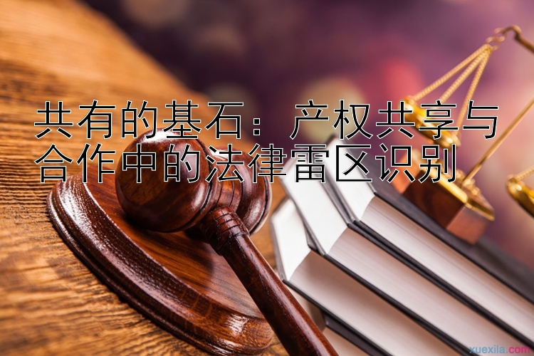 共有的基石：产权共享与合作中的法律雷区识别