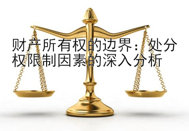 财产所有权的边界：处分权限制因素的深入分析