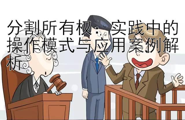 分割所有权：实践中的操作模式与应用案例解析