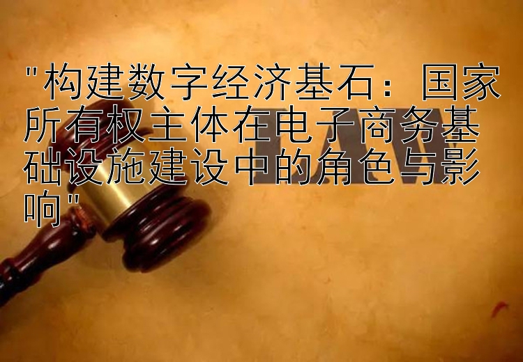 构建数字经济基石：国家所有权主体在电子商务基础设施建设中的角色与影响