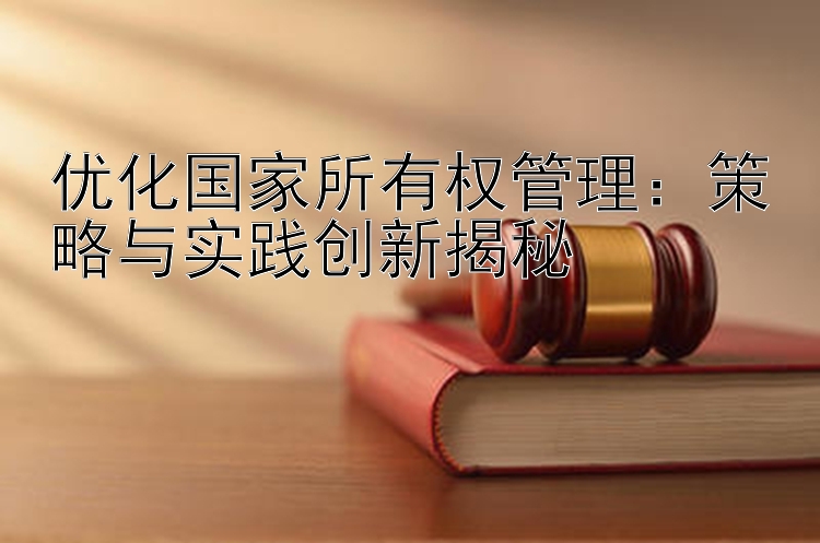 优化国家所有权管理：策略与实践创新揭秘