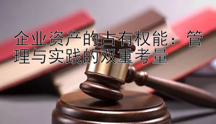 企业资产的占有权能：管理与实践的双重考量