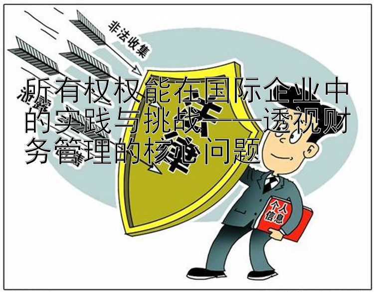 所有权权能在国际企业中的实践与挑战——透视财务管理的核心问题