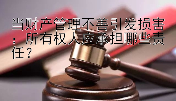 当财产管理不善引发损害：所有权人应承担哪些责任？