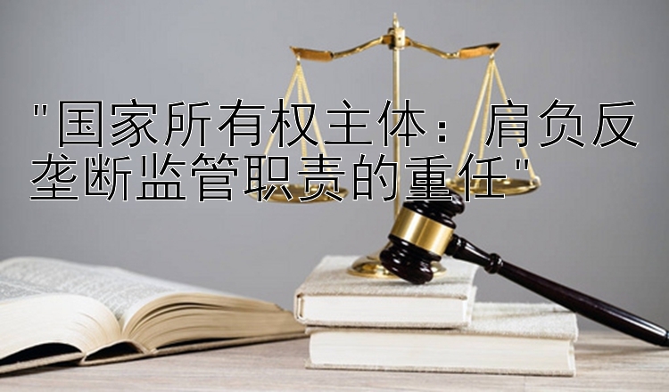 国家所有权主体：肩负反垄断监管职责的重任