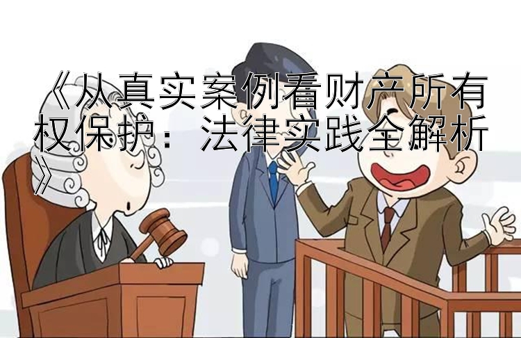 《从真实案例看财产所有权保护：法律实践全解析》