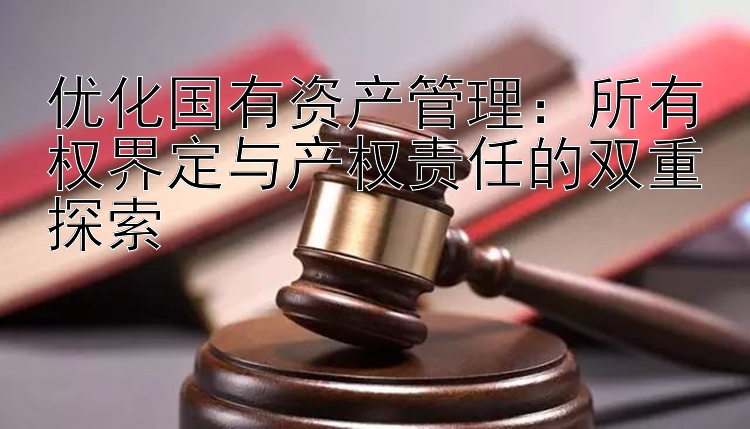 优化国有资产管理：所有权界定与产权责任的双重探索