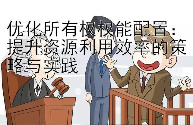 优化所有权权能配置：提升资源利用效率的策略与实践