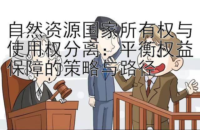 自然资源国家所有权与使用权分离：平衡权益保障的策略与路径