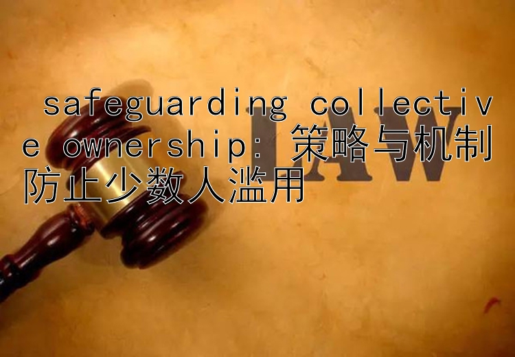  safeguarding collective ownership: 策略与机制防止少数人滥用