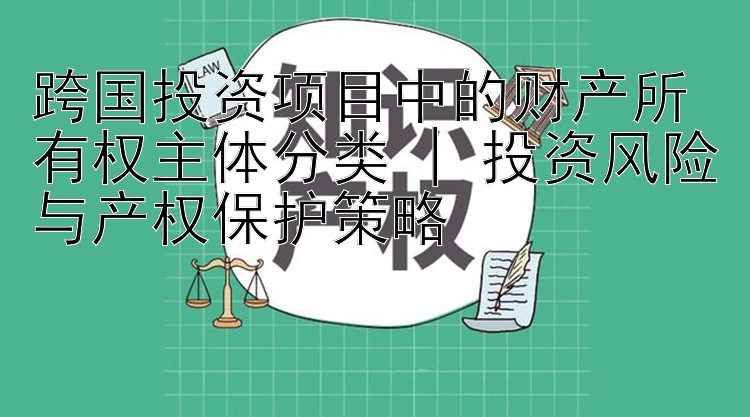 跨国投资项目中的财产所有权主体分类 | 投资风险与产权保护策略