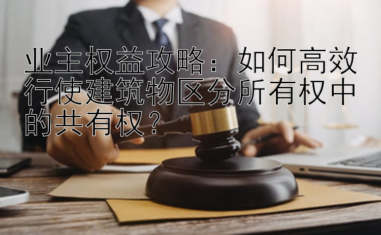 业主权益攻略：如何高效行使建筑物区分所有权中的共有权？