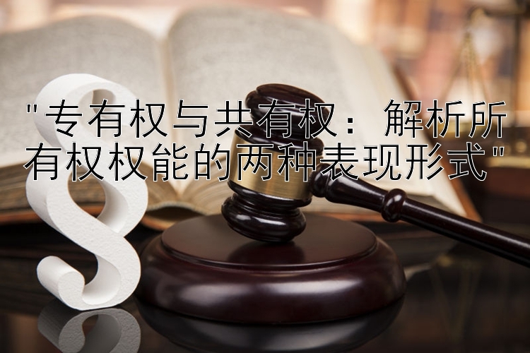 专有权与共有权：解析所有权权能的两种表现形式