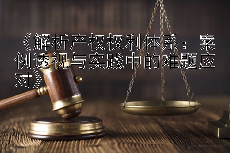 《解析产权权利体系：案例透视与实践中的难题应对》