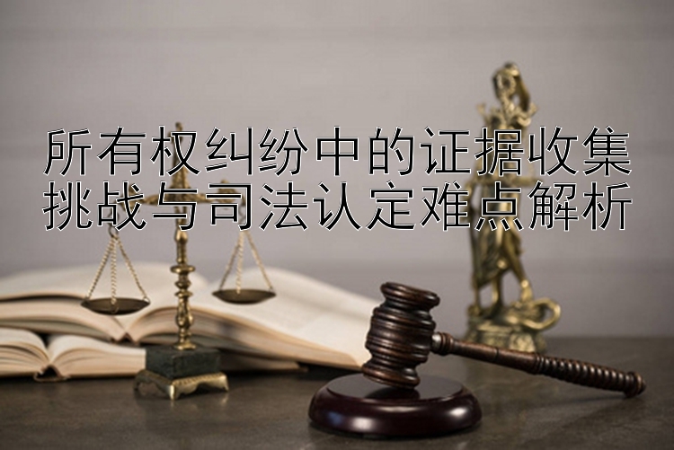 所有权纠纷中的证据收集挑战与司法认定难点解析