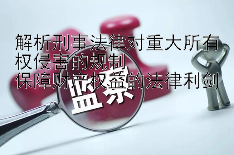 解析刑事法律对重大所有权侵害的规制 加拿大28单双预测下载