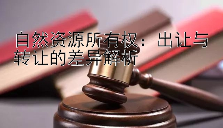 自然资源所有权：出让与转让的差异解析