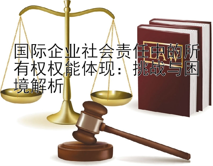 国际企业社会责任中的所有权权能体现：挑战与困境解析