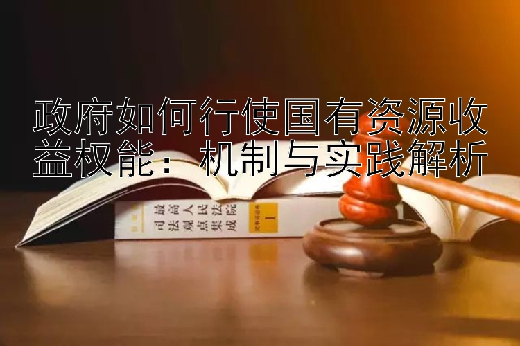 政府如何行使国有资源收益权能：机制与实践解析