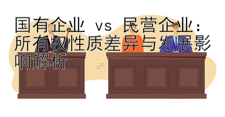 国有企业 vs 民营企业：所有权性质差异与发展影响解析