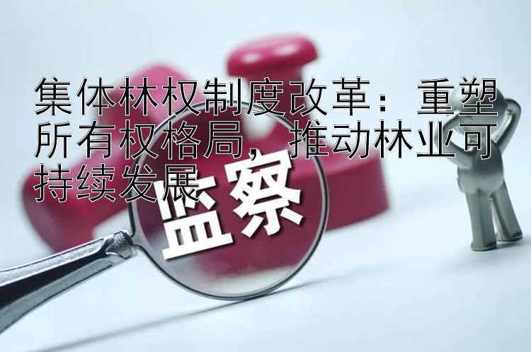 集体林权制度改革：重塑所有权格局，推动林业可持续发展