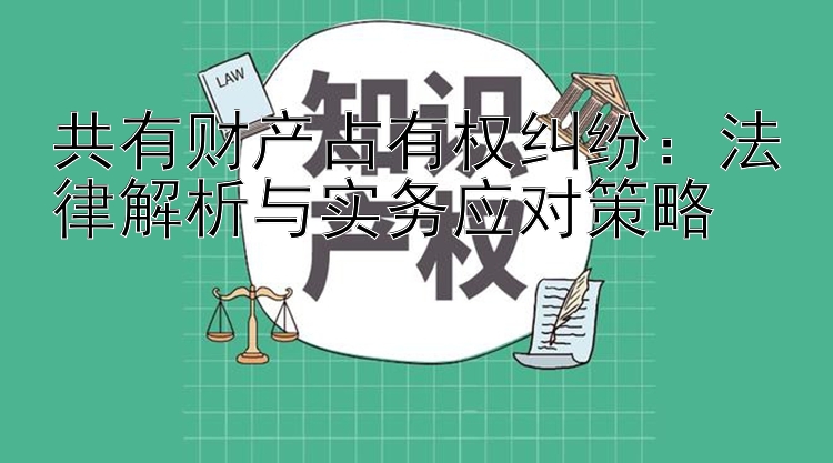 共有财产占有权纠纷：法律解析与实务应对策略