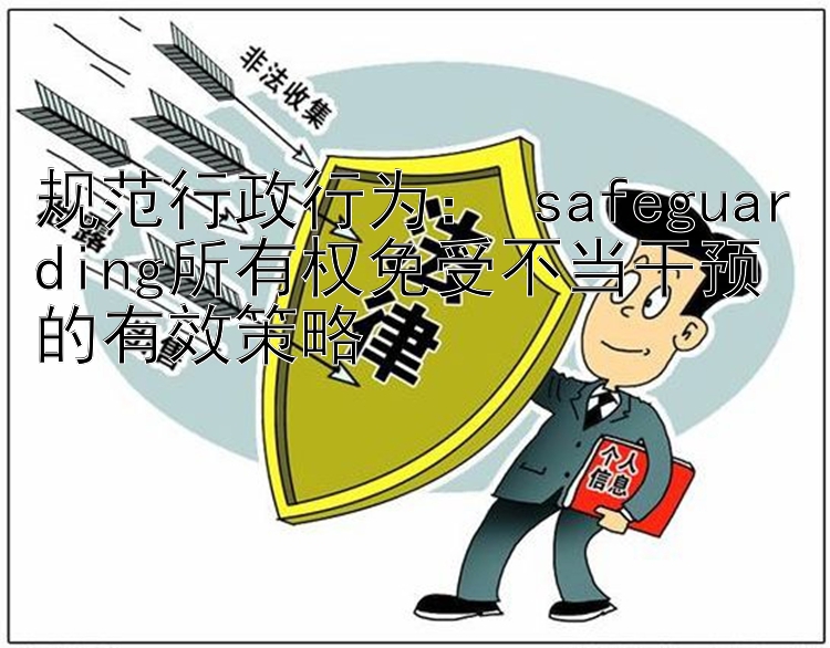 规范行政行为：所有权免受不当干预的有效策略