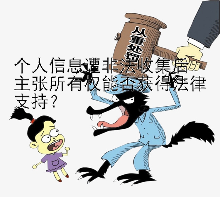 个人信息遭非法收集后  
主张所有权能否获得法律支持？