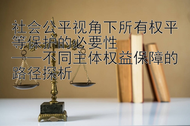 社会公平视角下所有权平等保护的必要性  
——不同主体权益保障的路径探析