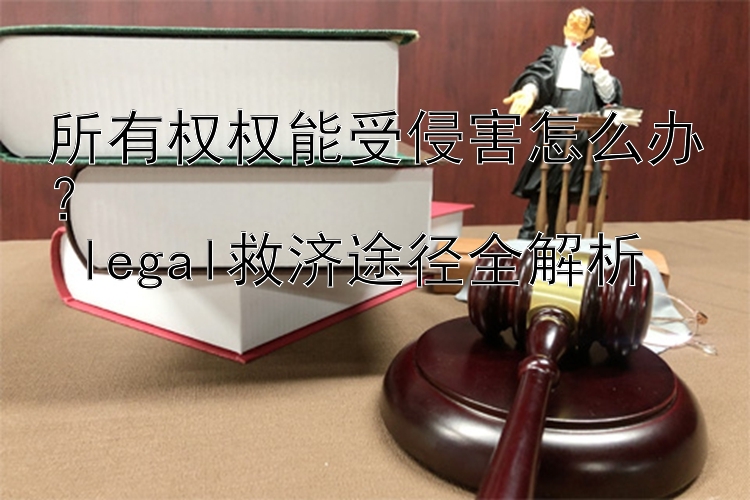 所有权权能受侵害怎么办？  
 legal救济途径全解析