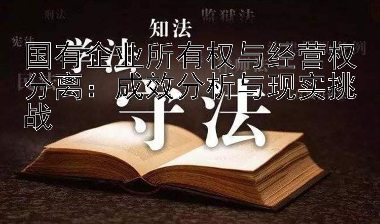 国有企业所有权与经营权分离：成效分析与现实挑战