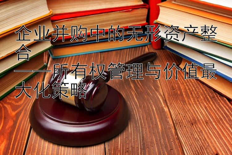 企业并购中的无形资产整合  
——所有权管理与价值最大化策略