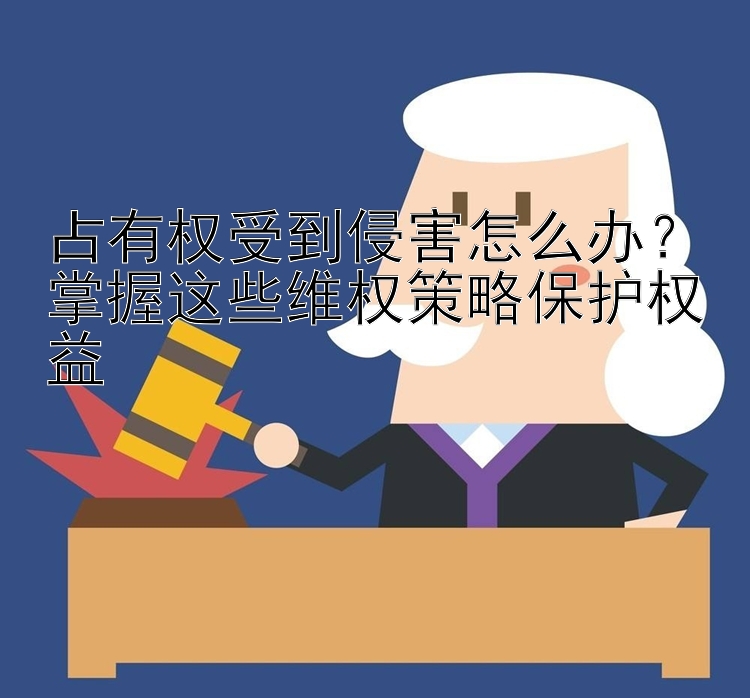 占有权受到侵害怎么办？掌握这些维权策略保护权益