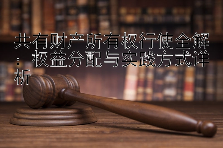 共有财产所有权行使全解：权益分配与实践方式详析