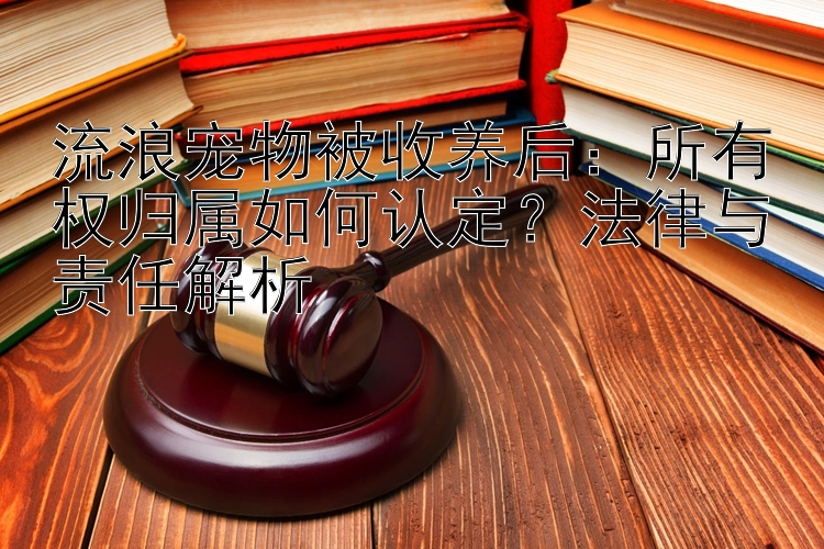 流浪宠物被收养后：所有权归属如何认定？法律与责任解析