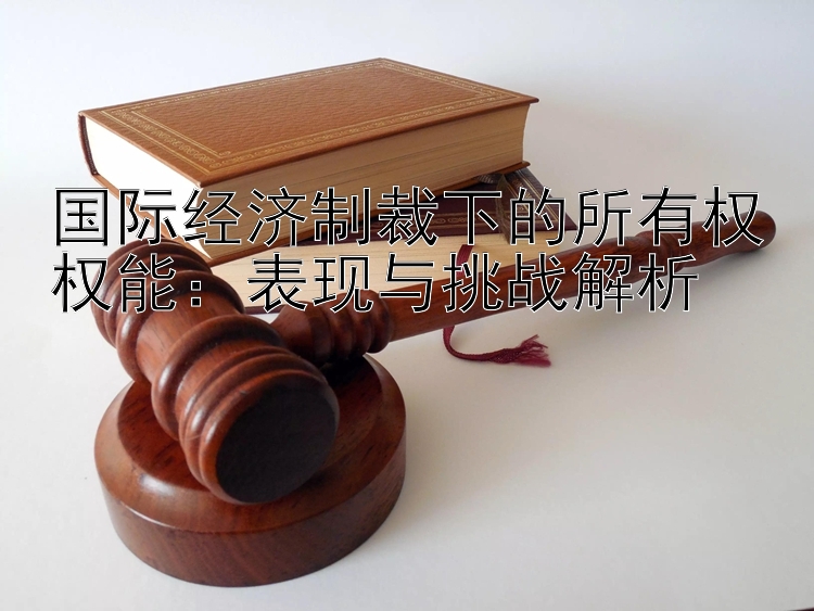 国际经济制裁下的所有权权能：表现与挑战解析