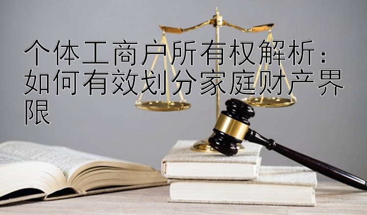 个体工商户所有权解析：如何有效划分家庭财产界限