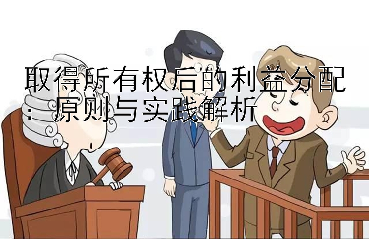 取得所有权后的利益分配：原则与实践解析