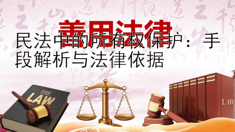 民法中的所有权保护：手段解析与法律依据