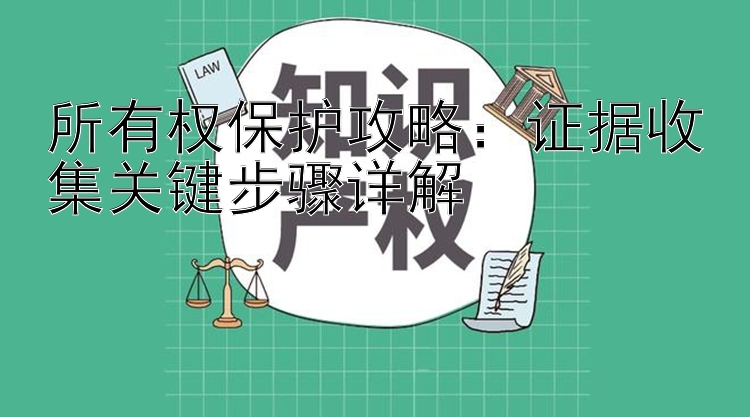 所有权保护攻略：证据收集关键步骤详解