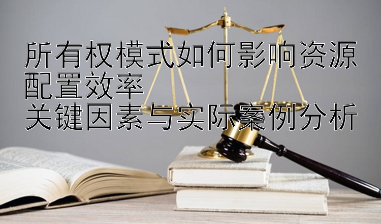 所有权模式如何影响资源配置效率  
关键因素与实际案例分析