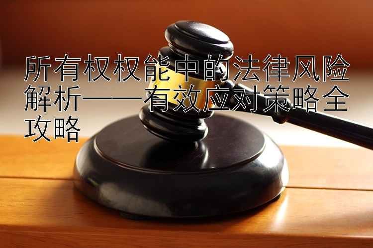 所有权权能中的法律风险解析——有效应对策略全攻略