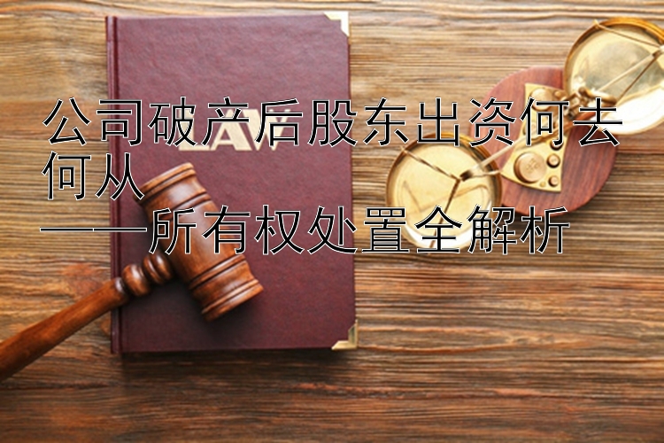 公司破产后股东出资何去何从  
——所有权处置全解析