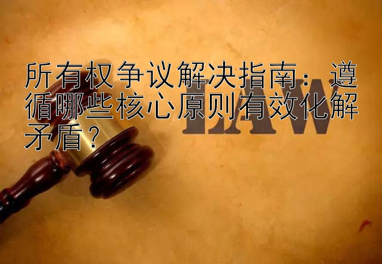 所有权争议解决指南：遵循哪些核心原则有效化解矛盾？