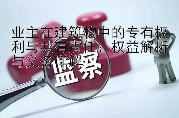 业主在建筑物中的专有权利与共有责任：权益解析与义务详解