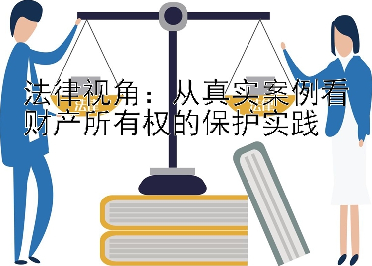 法律视角：从真实案例看财产所有权的保护实践