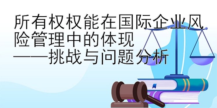 所有权权能在国际企业风险管理中的体现  
——挑战与问题分析