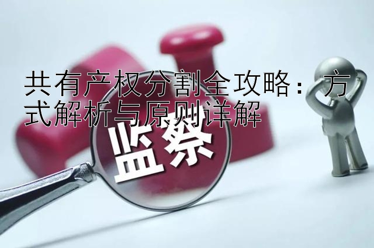 共有产权分割全攻略：方式解析与原则详解